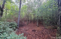 Waters Edge Drive, Nebo, NC 28761