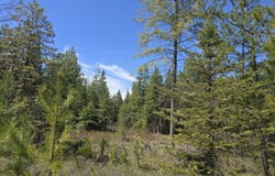 W OREGON Rd, DEER PARK, WA 99006