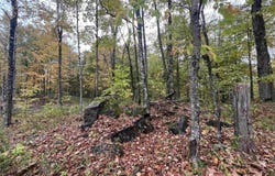 Glenmeal Rd., Canton, NY 13617