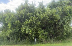 1600 E Claradge Avenue, Avon Park, FL 33825