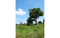Parcel 6A NW Jennings RD, Topeka, KS 66618