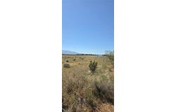 175th St E W10, Llano, CA 93591