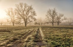 0000 Steck Bottom Road, SEALY, TX 77474