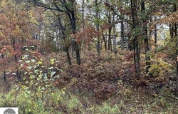 N Circle E lot: #6, Farwell, MI 48622