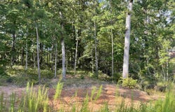 SHADE TREE TRACE, Ruston, LA 71270