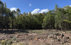 Edes Falls Road, Harrison, ME 04040