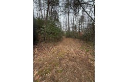 Willow Pond Rd, Franklin, NC 28734