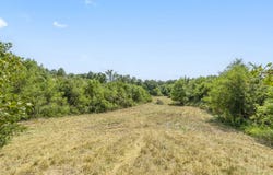 Swinson Drive, Galena, MO 65656