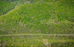 5367 Clinch Mountain Road, Eidson, TN 37731