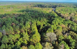 0 AL Hwy 14, Greensboro, AL 36744