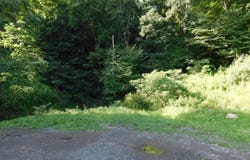 Independence Road, Newburg, WV 26410