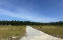 Tansy Rd., Loris, SC 29569