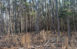 Highway 32 E, Salem, MO 65560