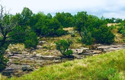 Pickney Rd, Rye, CO 81069