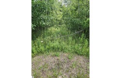 2751 Boughner Lake Road, Prescott, MI 48756