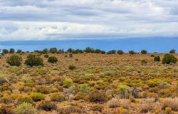 2104 S Avondale Road, Williams, AZ 86046