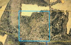 TBD OOO Hwy O, Falcon, MO 65470