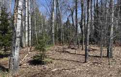 County Road 581, Ishpeming, MI 49849