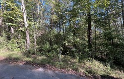 120 Saxony Court, Burnside, KY 42519