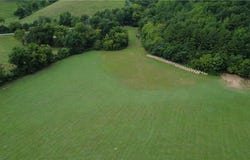 NC 6335, Mount Judea, AR 72655