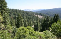29671 Lassen DR, Cold Springs, CA 95335