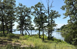 Indian Gap Road, Quitman, TX 75783