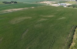 Luverne, MN 56156
