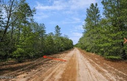 NORMAN Avenue, Interlachen, FL 32148