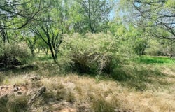 Morris Sheppard Drive lot: 11, Brownwood, TX 76801