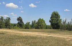 COUNTY ROAD 351 lot: 1, MAPLESVILLE, AL 36750
