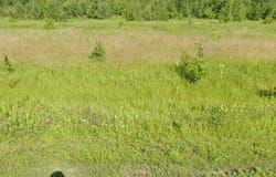 Mallard Road, Brook Park, MN 55007