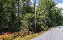 L 295 Whisper Winds Court lot: 295, Sapphire, NC 28774
