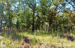 Saint Saveur Drive, Edwards, MO 65326