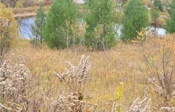 Hardknocks Rd, Unadilla, NY 13849
