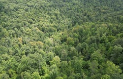Big Creek Road, Walton, WV 25286