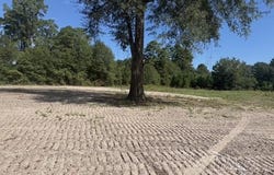 281B Burkhalter Hollow, Diboll, TX 75941
