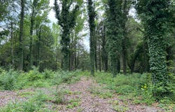 56 Mobjack Ln, Hayes, VA 23072