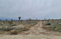 202nd St E & Ave X4, Llano, CA 93544