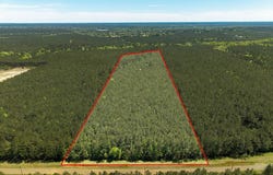 L28379 CR 403, San Augustine, TX 75972
