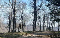 TBD-I NC 6827, Jasper, AR 72641