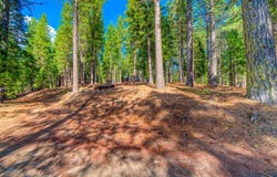 954 Red Fox Road, Clio, CA 96106