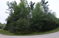 Bear Ridge Road, Ludlow, VT 05149