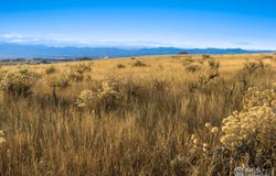 7929 County Road 84, Fort Collins, CO 80524