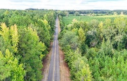 COUNTY ROAD 28, LAFAYETTE, AL 36862