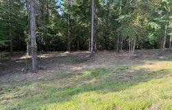 3715 Split Rail Way lot: 1123, Guild, TN 37340
