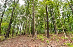 Landrum Road, Bainbridge, OH 45612