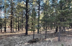 Jackson Hole lot: 14, Angel Fire, NM 87710-0000