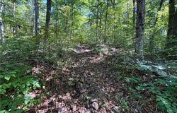 Panther Creek Road, Oark, AR 72854