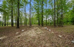 341 White Fox Lane, Broken Bow, OK 74728
