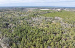 Live Oak, FL 32060
